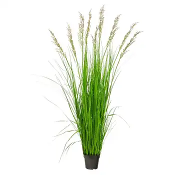 Искусственное Растение Plume Grass Зеленого Цвета